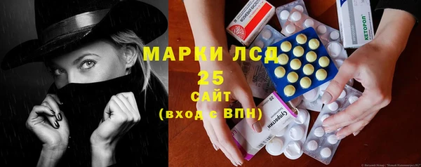 прущие крисы Бородино