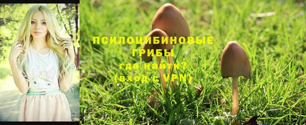 MDMA Premium VHQ Верхнеуральск