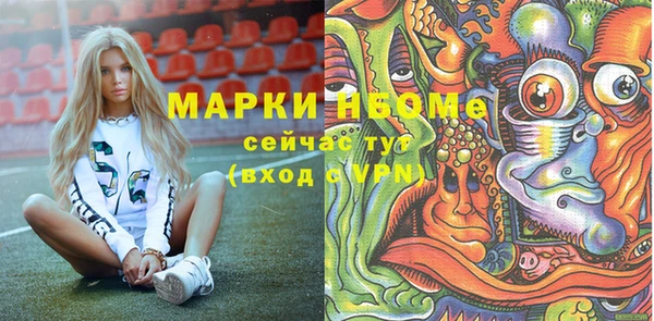 прущие крисы Бородино