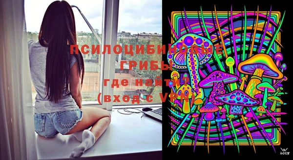 прущие грибы Бугульма