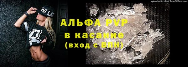 прущие крисы Бородино
