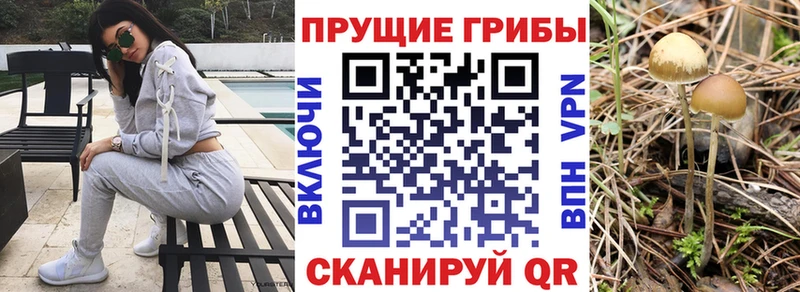 Галлюциногенные грибы мицелий  Миллерово 