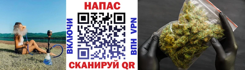 Бошки марихуана семена  даркнет сайт  Миллерово 
